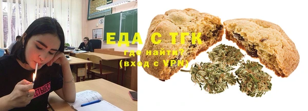 spice Богородицк