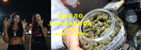 spice Богородицк