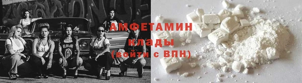 индика Слюдянка