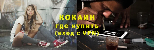ПСИЛОЦИБИНОВЫЕ ГРИБЫ Весьегонск