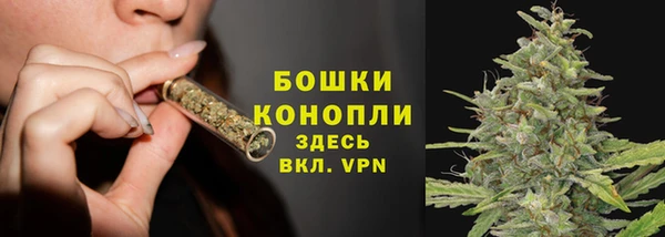 a pvp Богданович