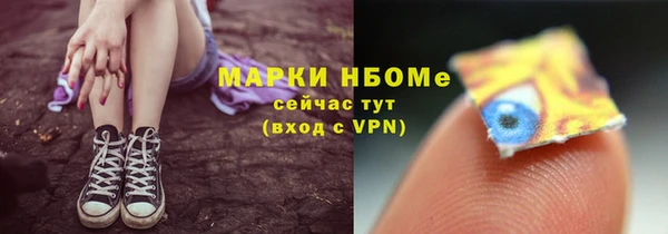 spice Богородицк