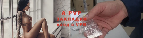a pvp Богданович