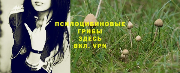 spice Богородицк