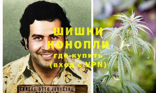 spice Богородицк