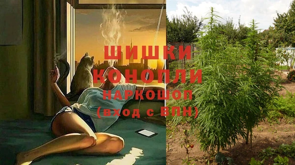 a pvp Богданович