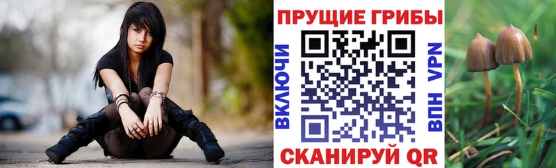Псилоцибиновые грибы MAGIC MUSHROOMS  где можно купить   Медвежьегорск 